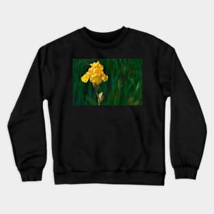 Yellow Iris photograph Crewneck Sweatshirt